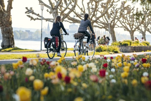 Konstanz-Seestrasse-Radfahren-Bluete-06_Copyright_MTK-Leo-Leister.jpg