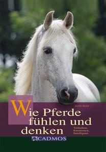 Wie Pferde fühlen