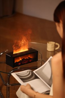 ZX-7903_12_Aroma-Diffusor-Kamin.jpg