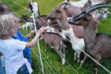 Familie Baiersbronn Touristik
