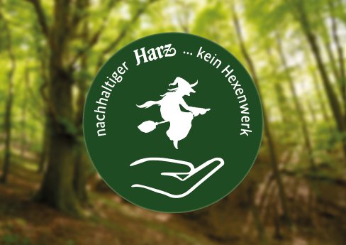 Logo_auf_Wald_.jpg