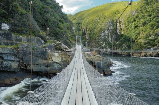 Suedafrika_TsitsikammaNP_Gardenroute.jpg