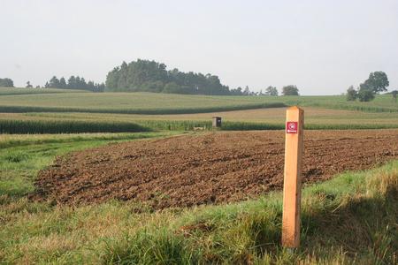 Pfosten Nähe Brüderkreuz