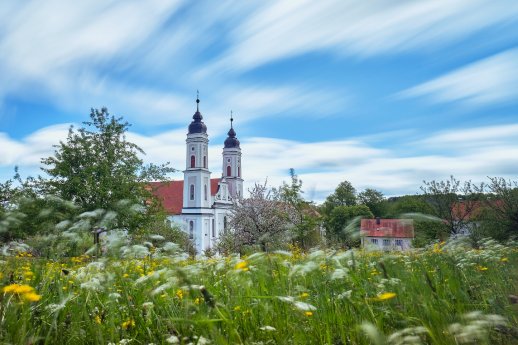 Kloster Irsee- Streuobstwiese Foto_Martin_Zurek.jpg