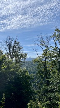bad_harzburg(c)_wanderungen_kw19_20.jpg