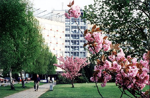 hotel_frühling.jpg