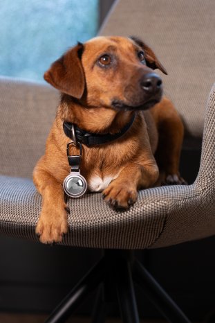 kr25-05si_Airtag holder_Troika-8.JPG