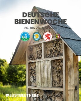Deutsche Bienenwoche 2024.png