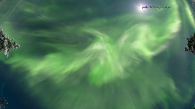 Die Nordlichter direkt über sich zu sehen - das ist ein magischer Moment!
(c) Klaus-Peter Kappest, polarlichtexpress.de