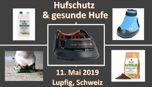 Swiss Galopper am 11.Mai 2019 in Lupfig.