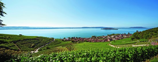 Neu ab 22.5.2015 Weinschifffahrt Fribourg Region und Jura 3Lacs.jpg