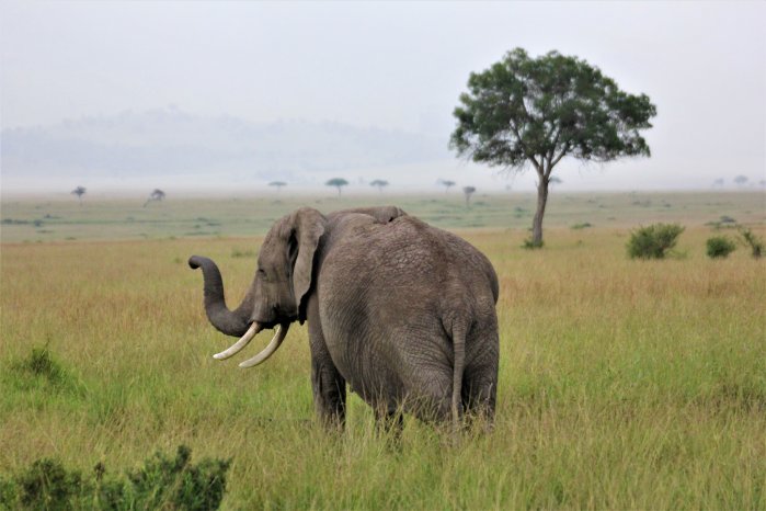 IMG_2892 (c) Britta Eggert, Karawane.JPG