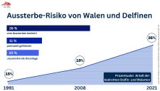Aussterbe-Risiko von Walen und Delfinen