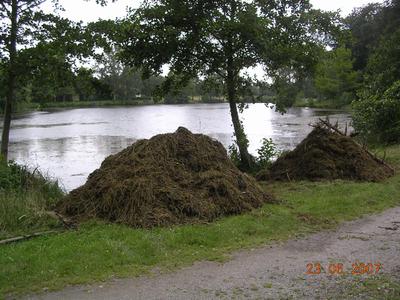 Angelsportverein Und Garten Und Tiefbauamt Befreien