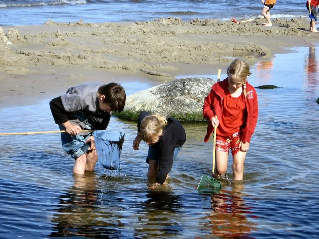 Discover RÃ¼gen_Strandlabor- 3 Kinder Keschern im Meer_1.jpg