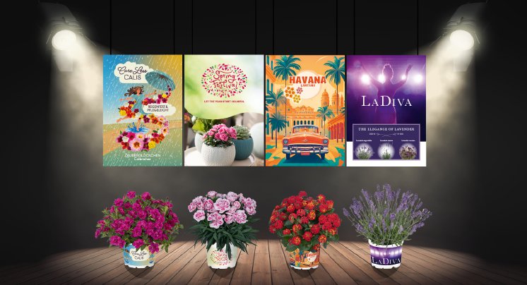 PR 2 - Main image - FINAL .png