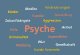 Wechselwirkungen zwischen Gesellschaft und Psyche
