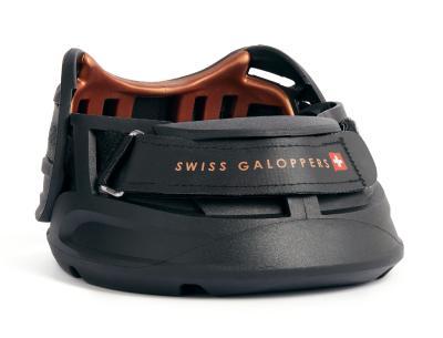 Der Swiss Galoppers.