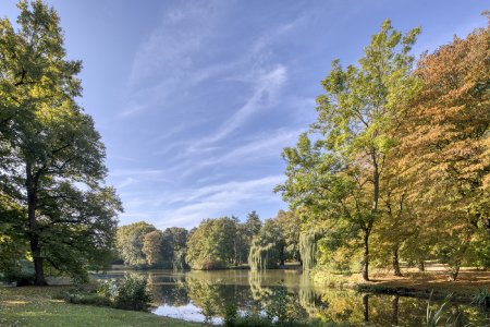 Die weiten Parkanlagen am Fluss Oker laden zu entspannten Spaziergängen in der Herbstsonne ein.
(Foto: Braunschweig Stadtmarketing GmbH/Christian Bierwagen)