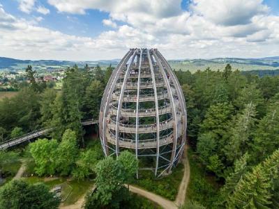 Nicht mehr wegzudenken: Das Baum-Ei ist zu einem Must-See-Reiseziel im Bayerischen Wald geworden. © EAK