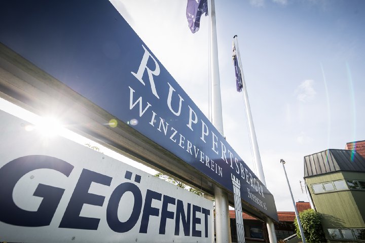 Ruppertsberger Weinkeller Hoheburg eG: Strategische Weitsicht in der Weinabsatzkrise