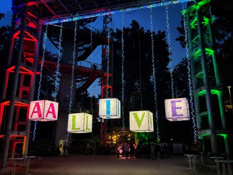 Alivewürfe.jpg