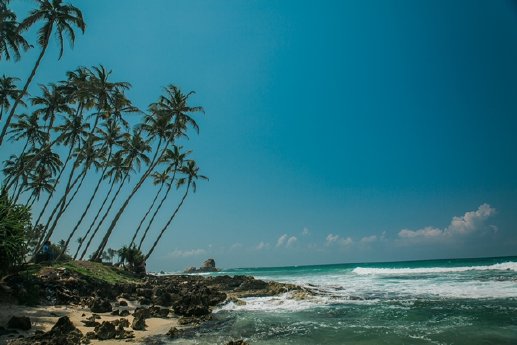 Intrepid Travel-sri-lanka_beach_palm-trees_small.jpg