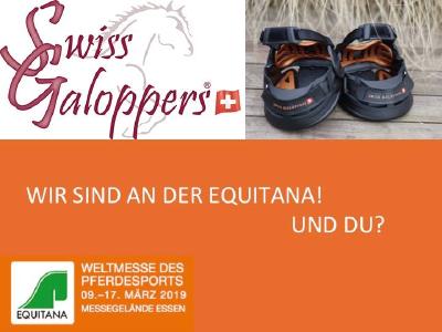 Swiss Galoppers in wenigen Tagen in Essen