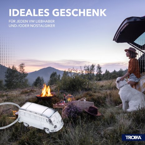 Amazon Fokus_Produkt Light Bulli T1_KR17-40 (4).jpg