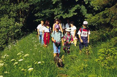 Der Goldsteig im Bayerischen Wald