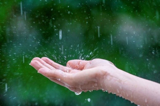 close-up-wet-female-hands-rain.jpg