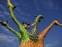 Das Kulturgewächshaus Birkenried startet in die Saison 2026 – Das Programm steht online!