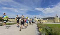 Marathon KA / Bildnachweis: Marathon Karlsruhe e.V.