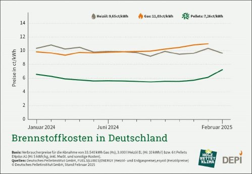 DEPI_Brennstoffkosten_Februar_2025.jpg