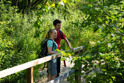 Wanderer auf dem DonAUwald Wanderweg (c) Jenny Kwittung.jpg