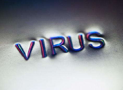 Virus.JPG
