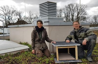 Iris Schneider und Oliver Weiß stellen das neue Möwenhaus auf dem Hochschuldach auf. Foto / NABU Worms-Wonnegau