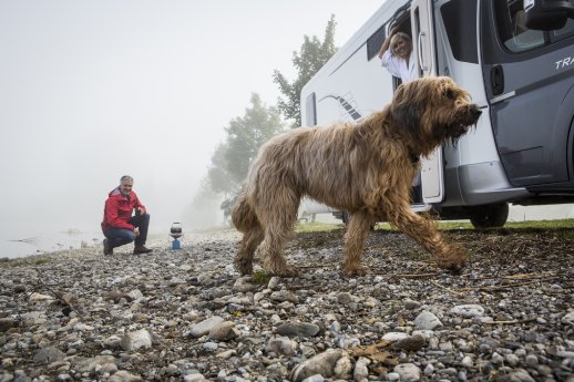 Alpsee Hundeurlaub.jpg