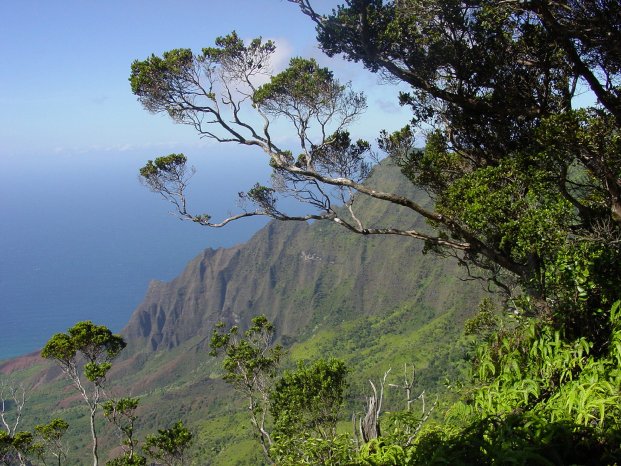 Hawaii_Kalalau Valley_300.jpg