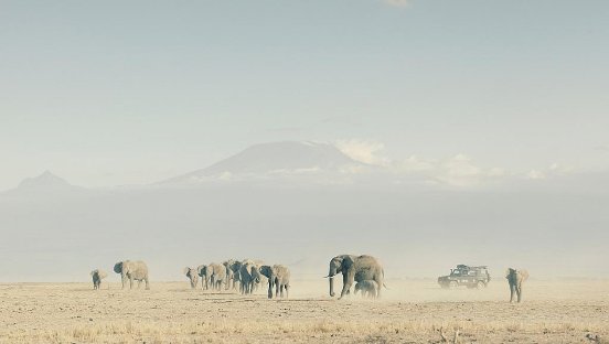 Photographer_George_Logan_captures_a_Land_Rover_observing_a_herd_of_elephants_in_Kenya_for_.jpg