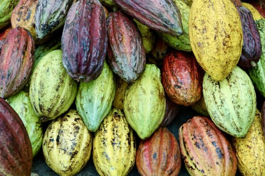 DSC01817 ┬®Andreas Mayr Karawane.jpg