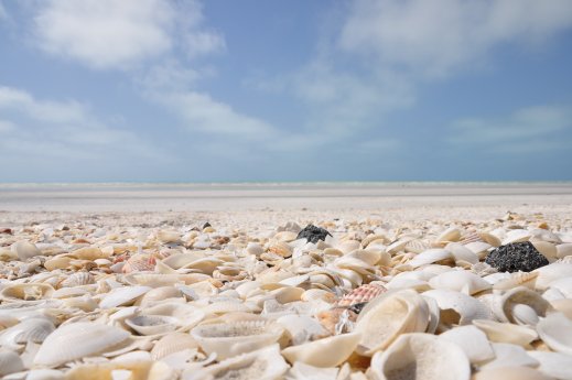 Eighty Mile Beach.JPG