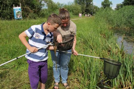 Wildpark MV Sommerferien 2017 Tümpelsafari (Fotos: Wildpark-MV)