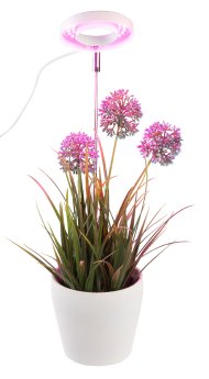 JX-8024_06_Vollspektrum-LED-Pflanzenlampe.jpg
