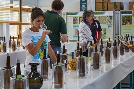 Verkostungen im Institut für Rebenzüchtung © Hochschule Geisenheim, Winfried Schönbach