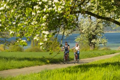 Radrouten zwischen Apfelbäumen und See: Herrliche Radwege führen ufernah durch Obstbaumwiesen / Bildnachweis: REGIO Konstanz-Bodensee-Hegau e.V.
