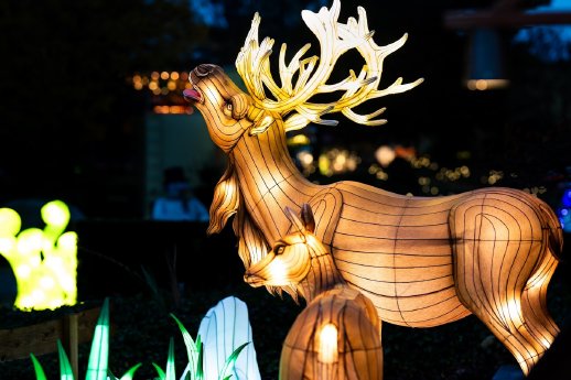 Wunderlight Kalkar 2024 00005.jpg