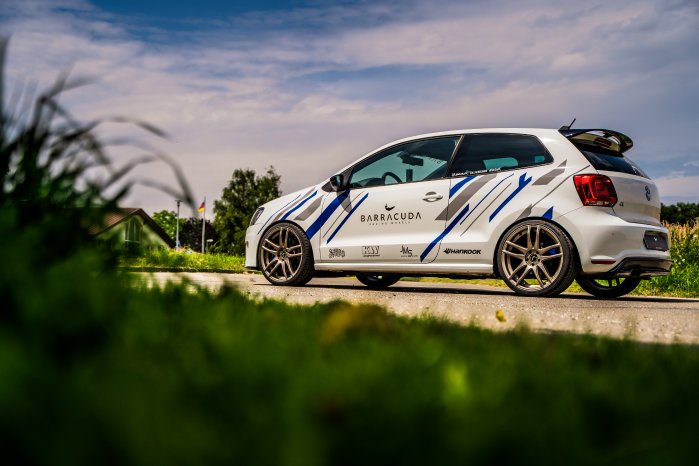 JMS_Polo_WRC_Shoxx_03.jpg