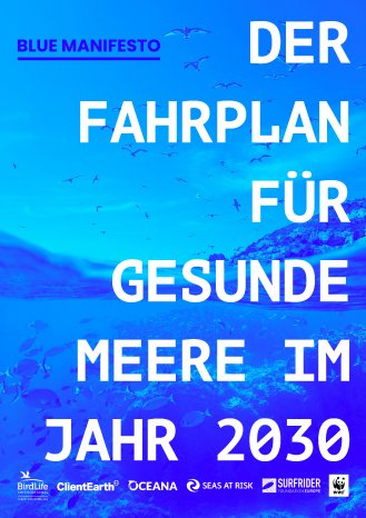 Das Blaue Manifest-Fahrplan-für-gesunde-Meere-im-Jahr-2030.jpg