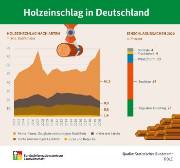 BZL-Infografik_Holzeinschlag 2020.jpg